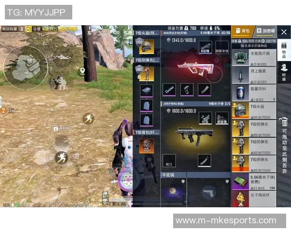 周芳畅谈和平精英职业生涯中的挑战与成长经历